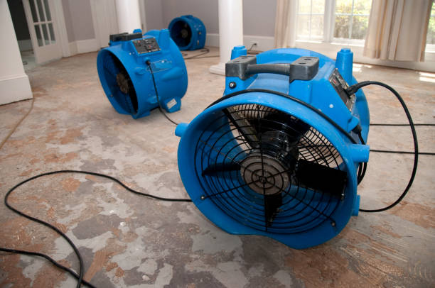 Best Professional water damage repair  in Newton, MA